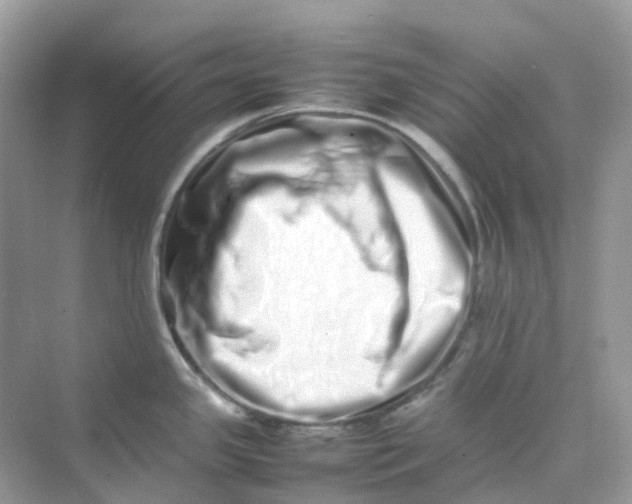 X0000075331341200609291958