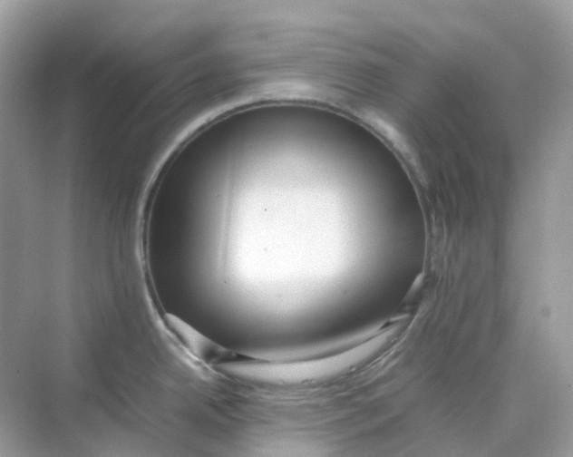 X0000075331342200609291958