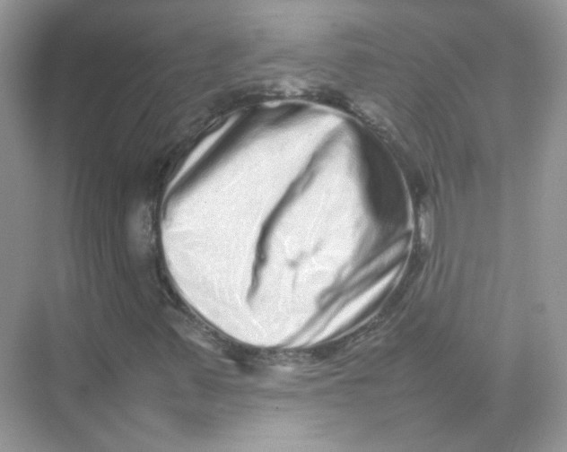X0000075331347200609291958