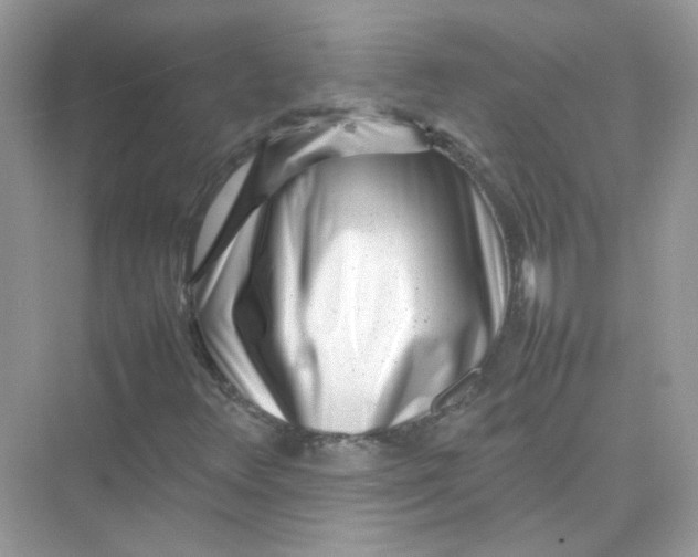 X0000075331348200609291958