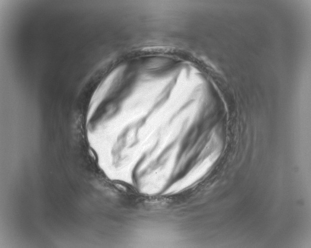 X0000075331351200609291958