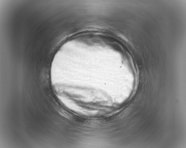 X0000075331355200609291957