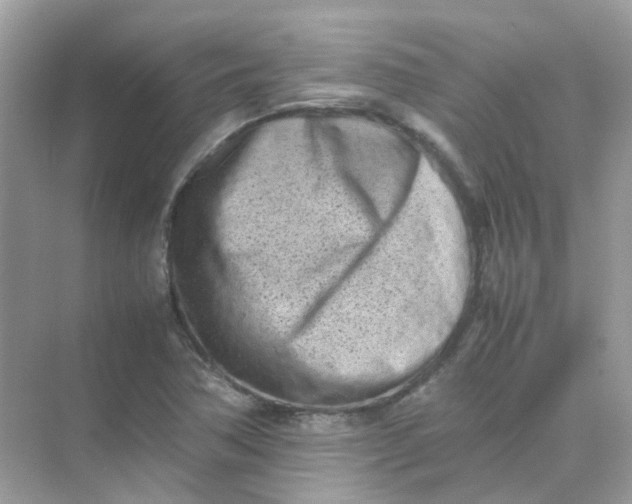X0000075331362200609291957