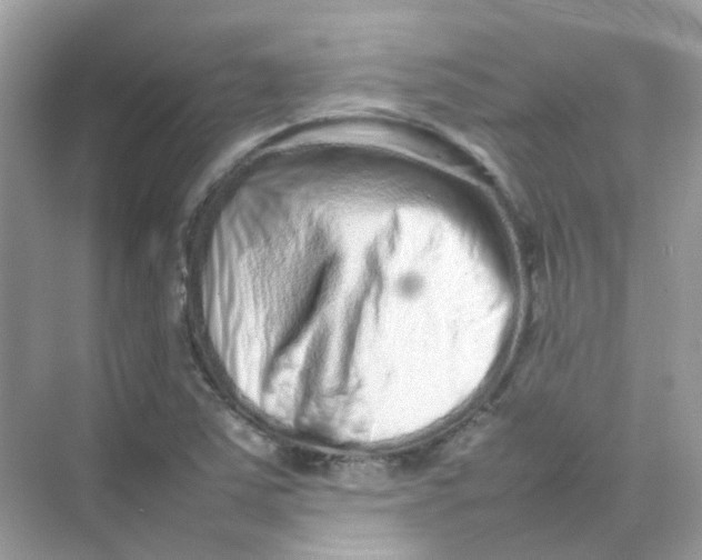 X0000075331363200609291957