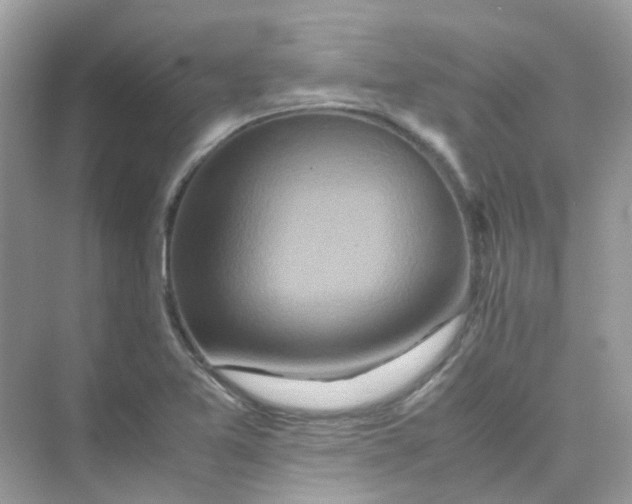 X0000075331365200609291957