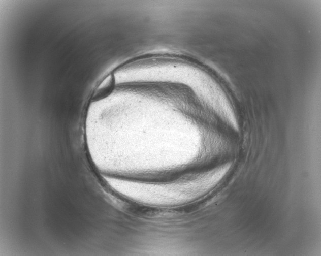 X0000075331367200609291957