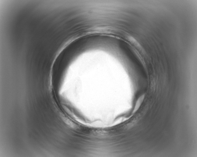 X0000075331370200609291957