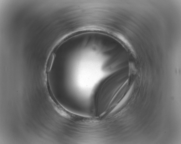 X0000075331372200609291957