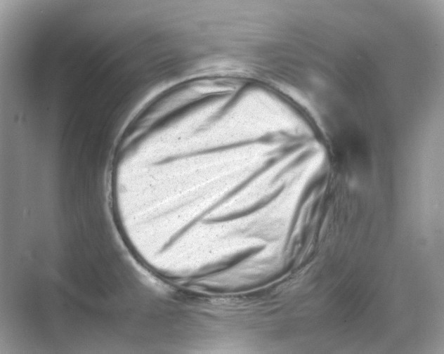 X0000075331383200609291957