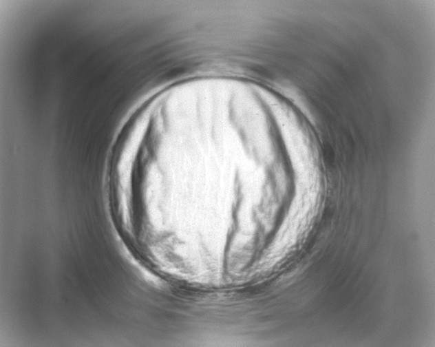 X0000075331387200609291957