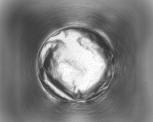 X0000075331391200609291957