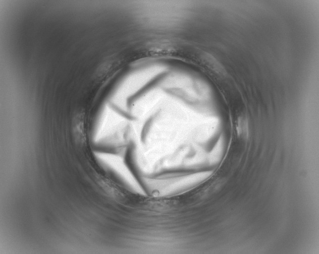 X0000075331396200609291956