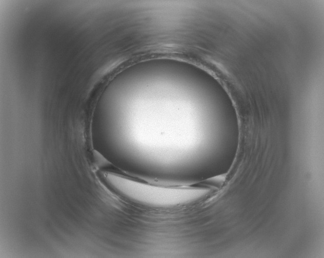 X0000075331402200609291956