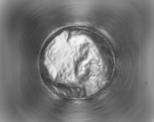 X0000075331412200609291956
