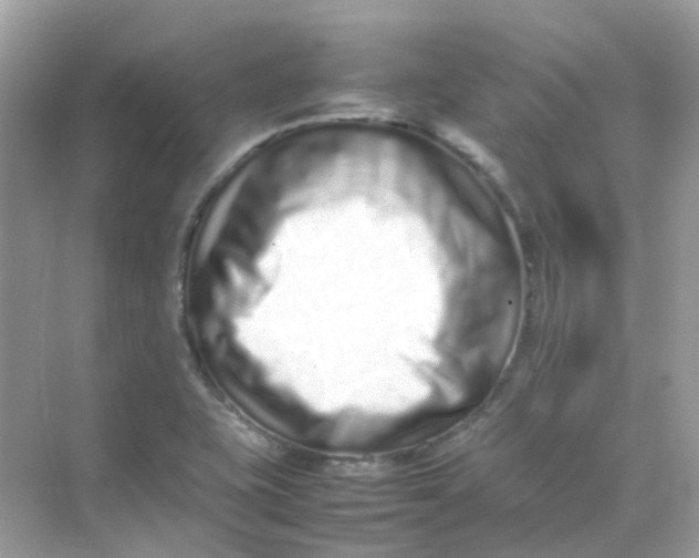 X0000075331415200609291956