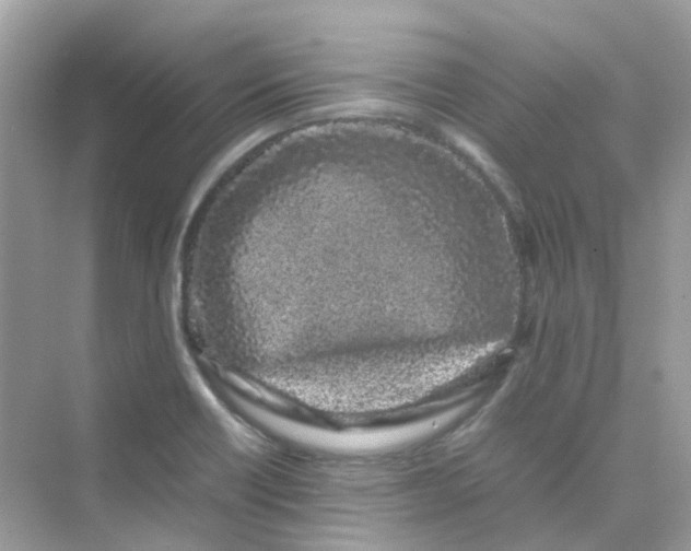X0000075331418200609291956