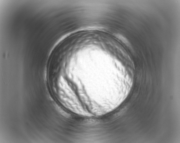 X0000075331420200609291956