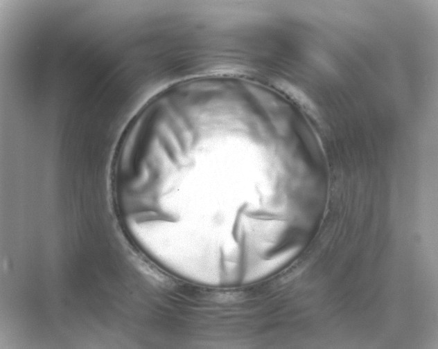X0000075331423200609291957