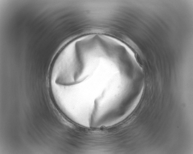 X0000075331436200609291957