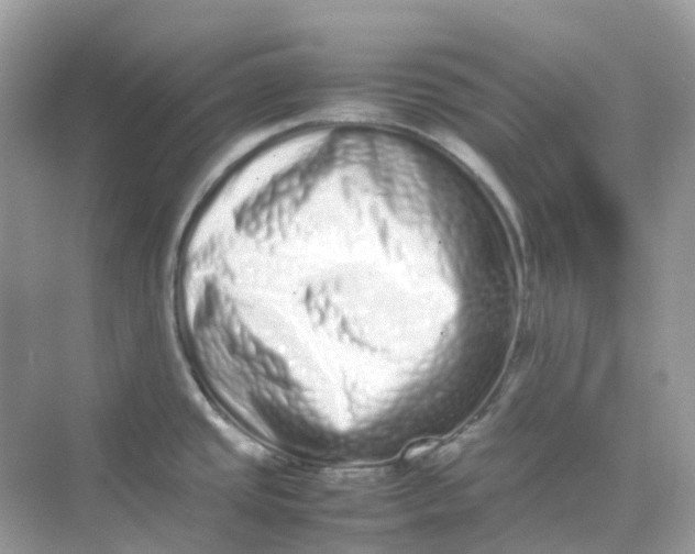 X0000075331437200609291957