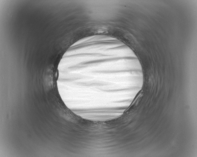 X0000075331442200609291956