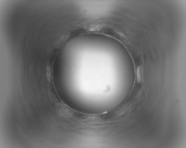 X0000075331443200609291956