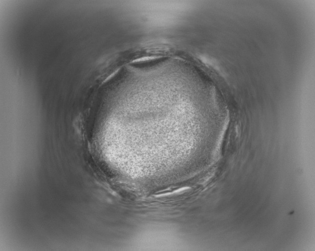 X0000075331445200609291956