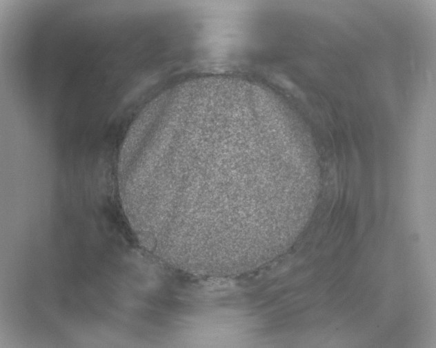 X0000075331446200609291956