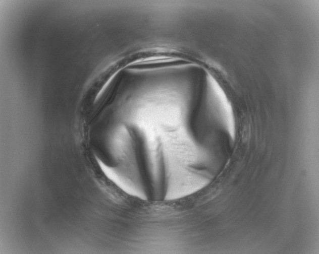 X0000075331448200609291956