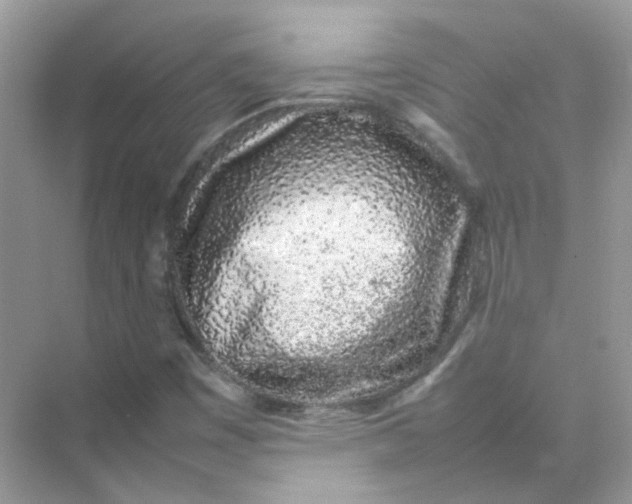 X0000075331449200609291956