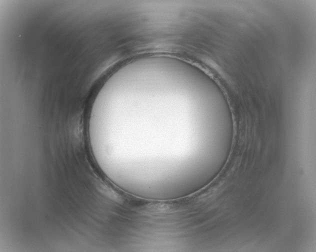 X0000075331450200609291956