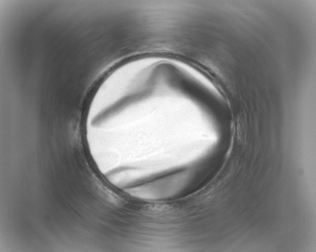 X0000075331452200609291956