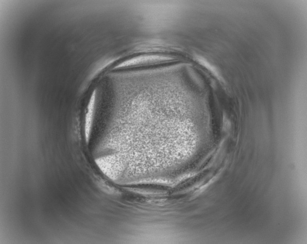 X0000075331453200609291956