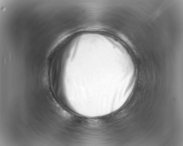 X0000075331456200609291956