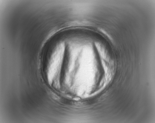 X0000075331459200609291956