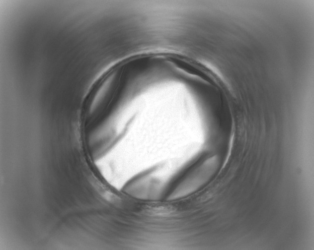 X0000075331460200609291956