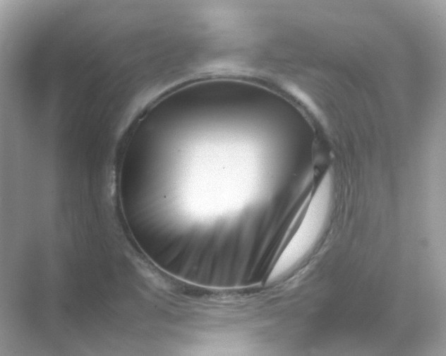 X0000075331461200609291956