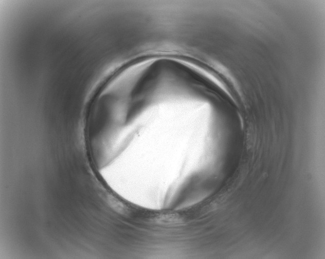 X0000075331464200609291956