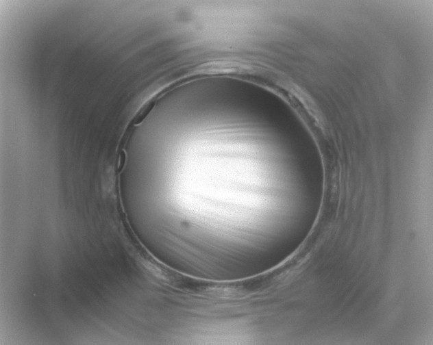 X0000075331465200609291956