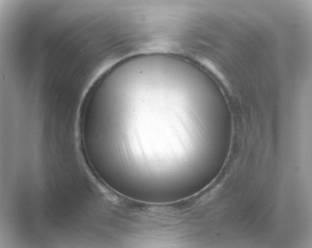 X0000075331469200609291956