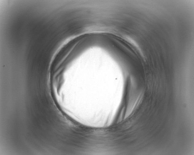 X0000075331472200609291956