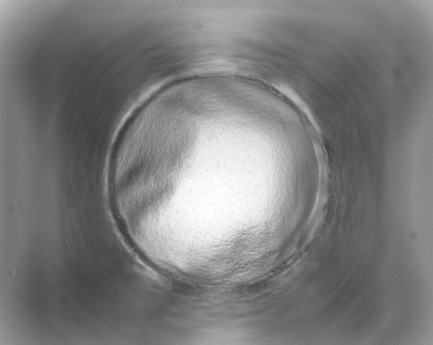 X0000075331477200609291955