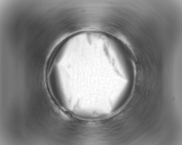 X0000075331480200609291955