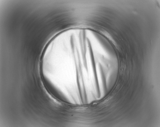 X0000075331484200609291955