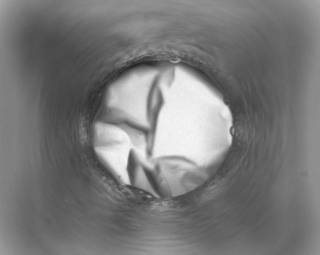 X0000075331490200609291954