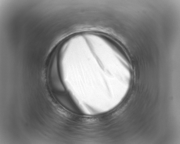 X0000075331501200609291955