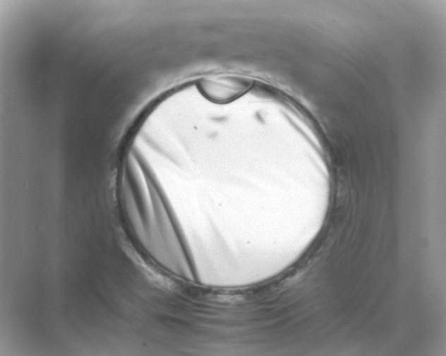 X0000075331503200609291955