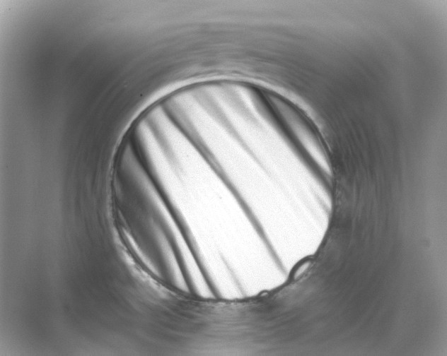 X0000075331534200609291955