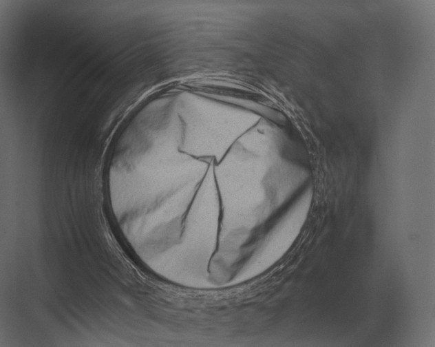 X0000075330002200610061640