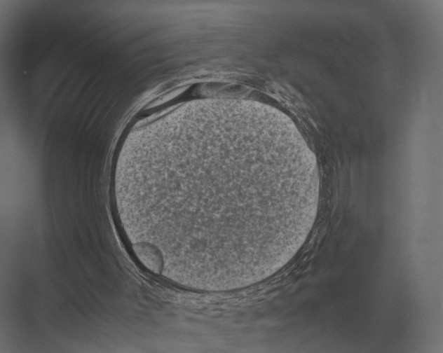 X0000075330003200610061640